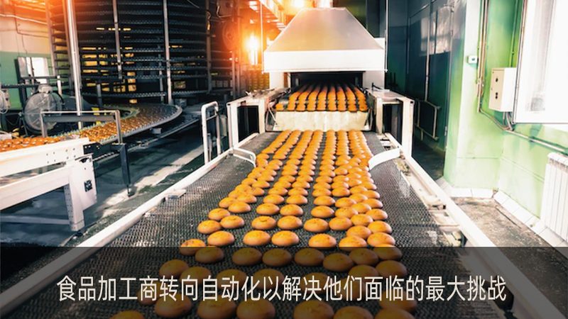 肉类加工设备：揭秘十大品牌型号的参数与选型逻辑
