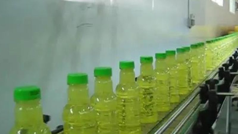 食品小型冻干机：规格尺寸解析与选型要点